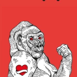 TEORIA KING KONG